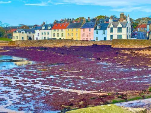 The Coastal Inn Outbuilding Cellardyke Exterior photo